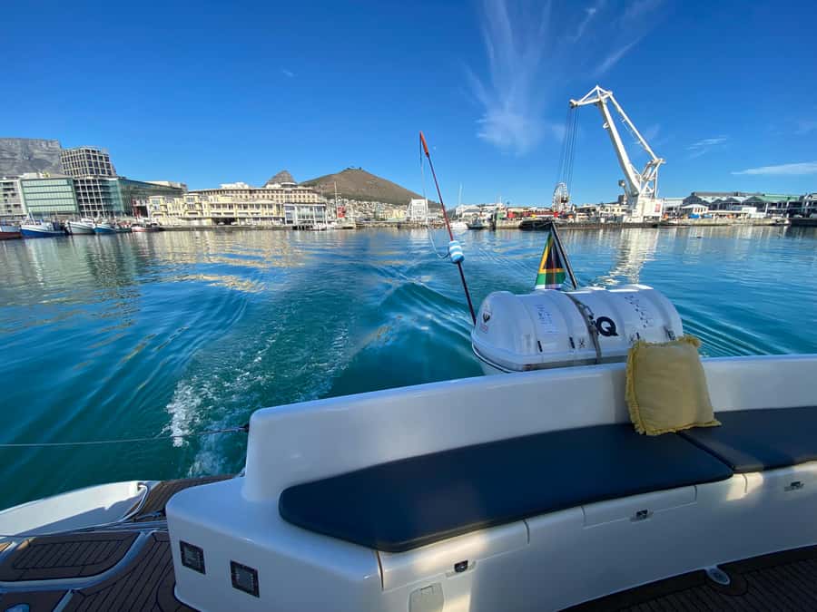 Sunset Cruise with Cape Town Cruises - Marine life: a welcome possibility, not the main promise