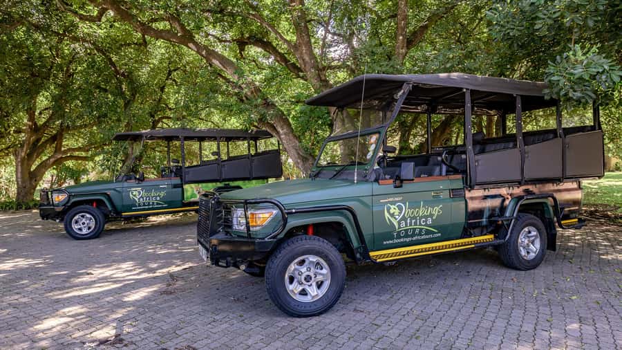 Sunset Drive From Hazyview - Kruger National Safari - Six hours of wildlife watching