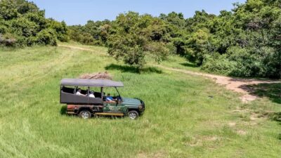 Sunset Drive From Hazyview – Kruger National Safari
