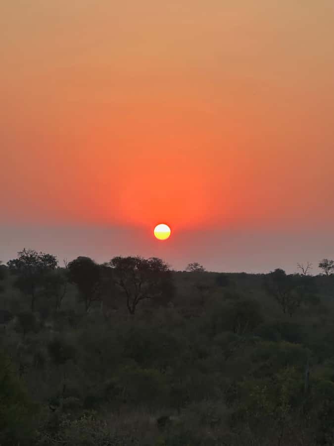 Sunset Drive From Hazyview - Kruger National Safari - Who will enjoy this sunset safari most