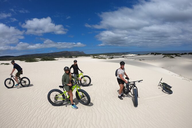 Sunset Fatbike Dune Experience - Animal tracks, plants, and the Walker Bay setting