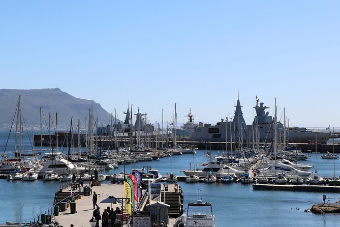 Supersaver: Cape of Good Hope and Cape Point Day Tour from Cape Town - The guides make the minivan matter