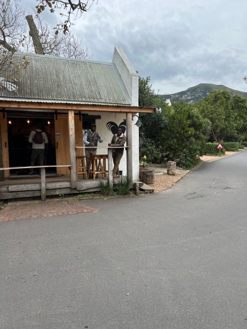 Swim with Penguins at Boulders Beach Penguin Colony - What the transport and guide add
