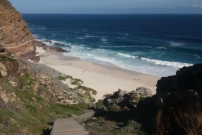 Swim with Penguins At Boulders Chapman's Peak Exc Entry Fees - Cape Point lighthouse and the Cape Floral Region