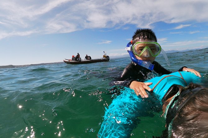 Swim with Seals - Wildlife encounters beyond the seals