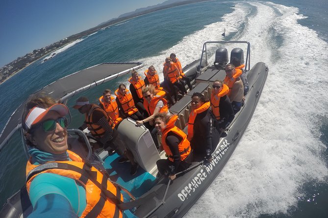 Swim with Seals - The beach launch and speedboat ride