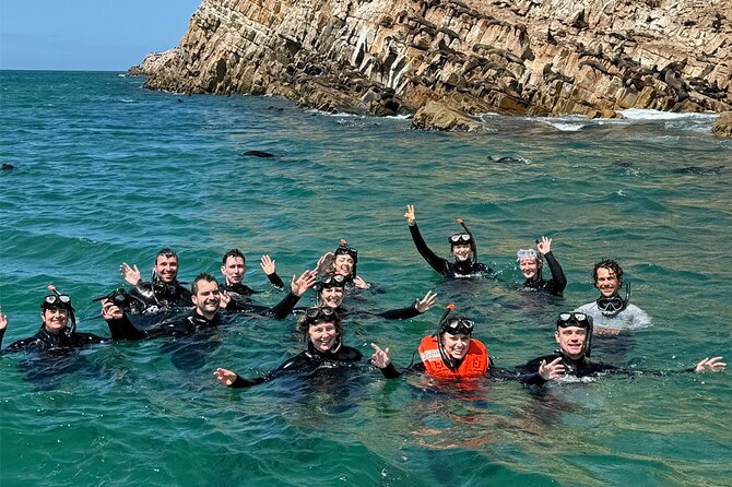 Swim with the Seals in Plettenberg Bay - The short walk to the boat