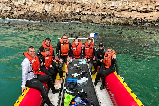 Swim with the Seals in Plettenberg Bay - Starting at Beacon Island Resort