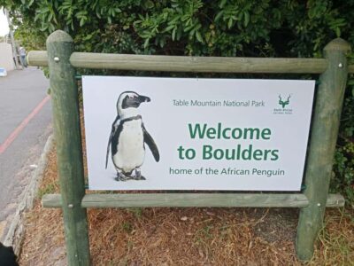 Table Mountain and Cape of Good Hope: Private Full Day Tour