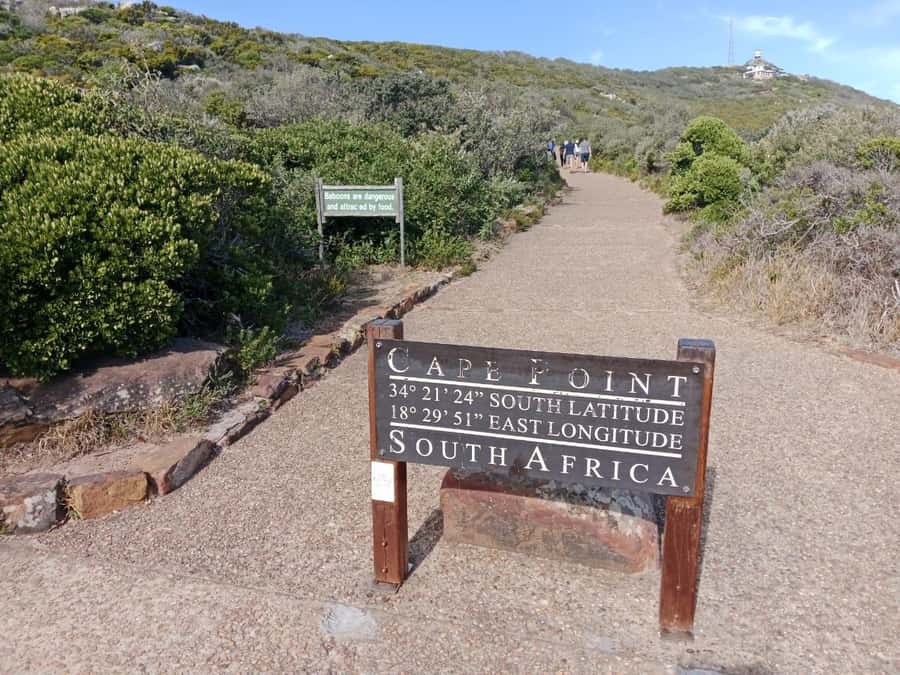 Table Mountain and Cape of Good Hope: Private Full Day Tour - Who Will Get The Most From This Tour