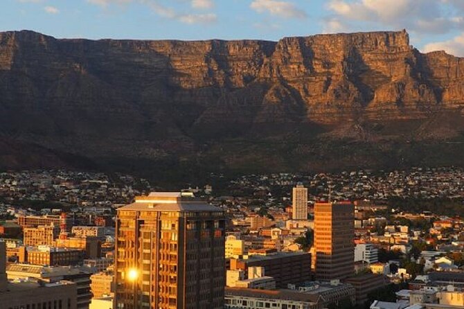 Table Mountain and Cape Town City Half-Day Trip - Reaching Table Mountain by cable car