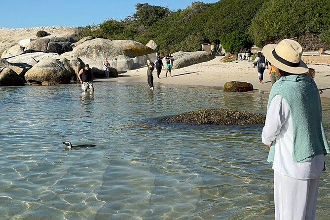 Table Mountain and Penguins Private Half Day Tour - Muizenberg Beach and its famous colorful huts