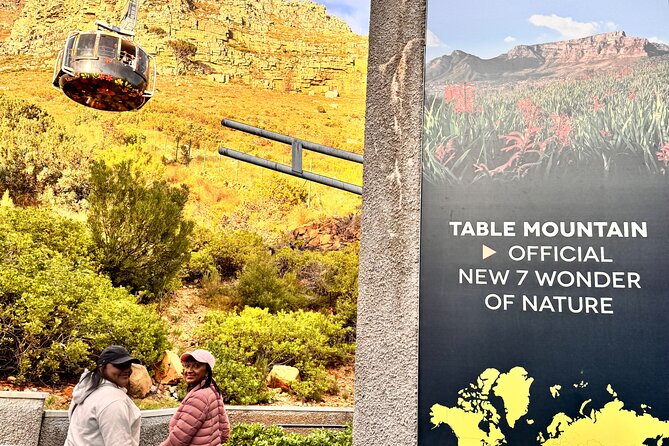 Table Mountain and Penguins Private Half Day Tour - Starting from Cape Town Central at 8:00 a.m.