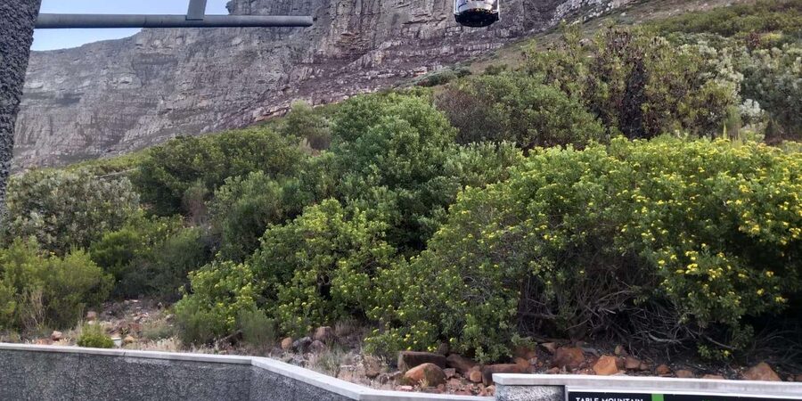Table Mountain and Robben Island. - Robben Island, where the history becomes personal