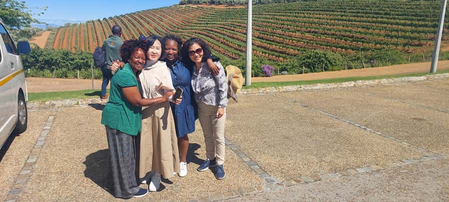 Table Mountain and Stellenbosch Wine tasting tour - One day from Cape Town to the Cape Winelands