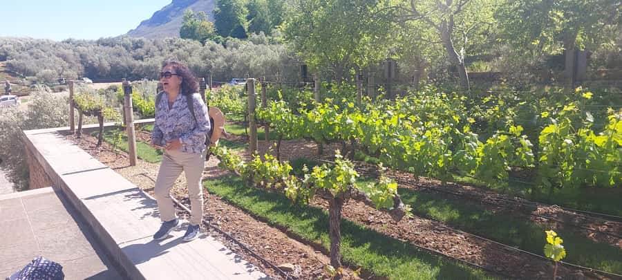 Table Mountain and Stellenbosch Wine tasting tour - Continuing to Franschhoek