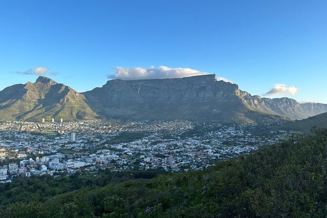 Table Mountain Boulder's Beach and Cape Point - Chapman’s Peak supplies the classic road view