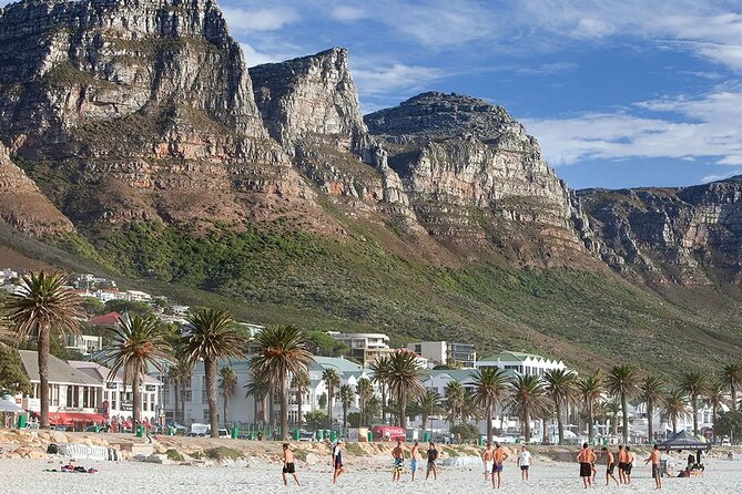 Table Mountain Boulder's Beach and Cape Point - Cape Point Vineyards changes the rhythm