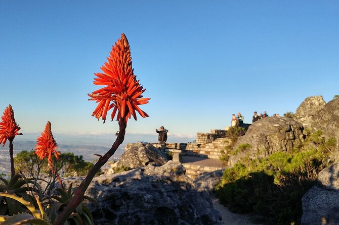 Table Mountain Boulder's Beach and Cape Point Tour - Chapman’s Peak Drive: the road is part of the attraction