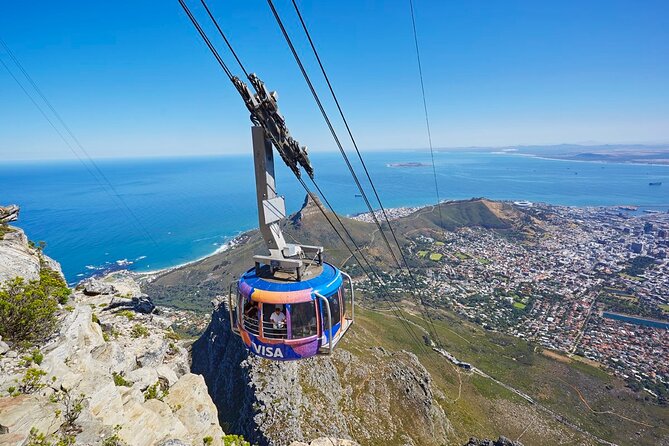 Table Mountain Boulder's Beach and Cape Point Tour - Boulders Beach and its African penguins