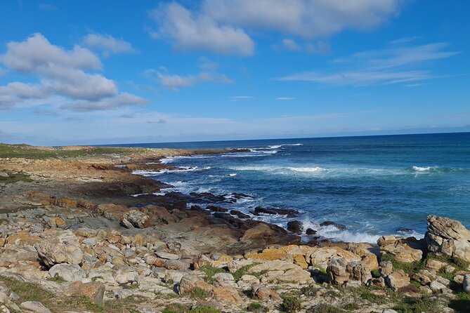 Table Mountain, Boulder's Penguins, Cape of Good Hope&Cape Point - Cape of Good Hope gives the day its biggest finish