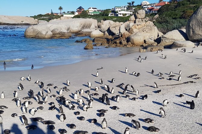 Table Mountain, Boulder's Penguins, Cape of Good Hope&Cape Point - Bo-Kaap adds color and local meaning