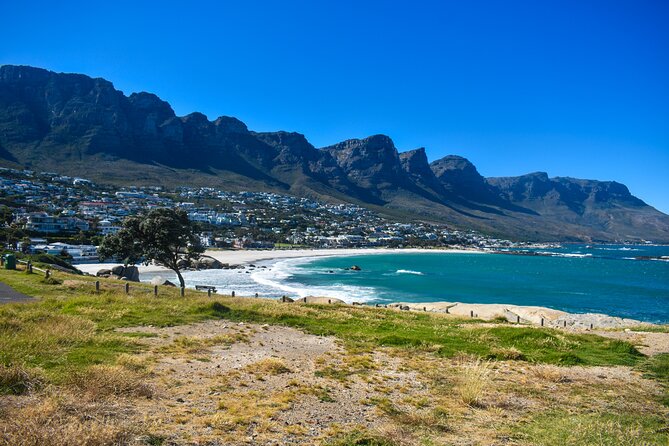 Table Mountain, Boulders Penguins & Cape point Private Day Tour - Table Mountain depends on the weather