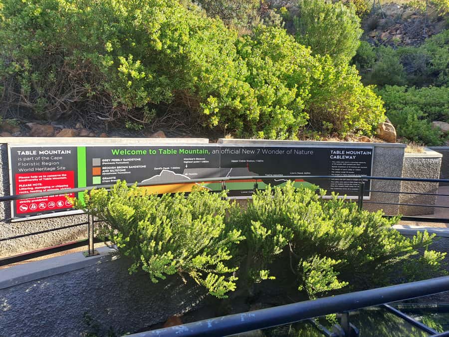 Table Mountain Cable Car Ticket with Transfer - Queues, cancellations, and access