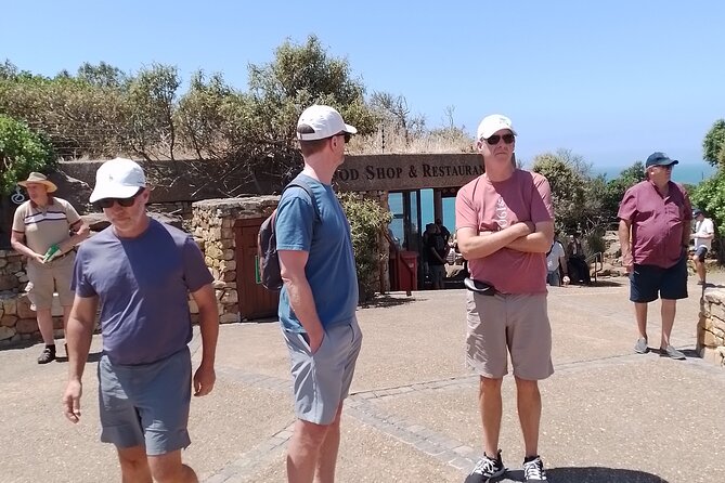 Table Mountain, Cape of Good Hope & Penguins - Cape Point Vineyards and the Cape of Good Hope