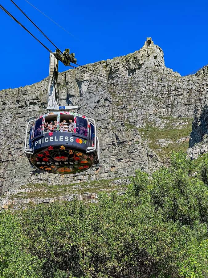 Table Mountain, Cape Of Good Hope, Penguins, Full Day Tour - Key points at a glance