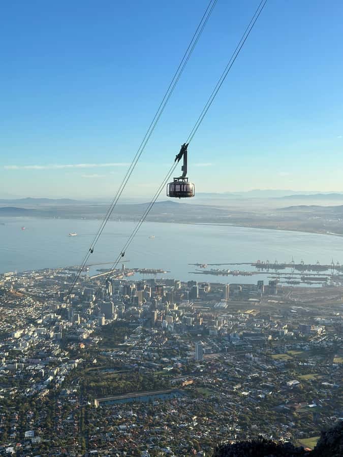 Table Mountain, Cape Of Good Hope, Penguins, Full Day Tour - Boulders Beach and the African penguins