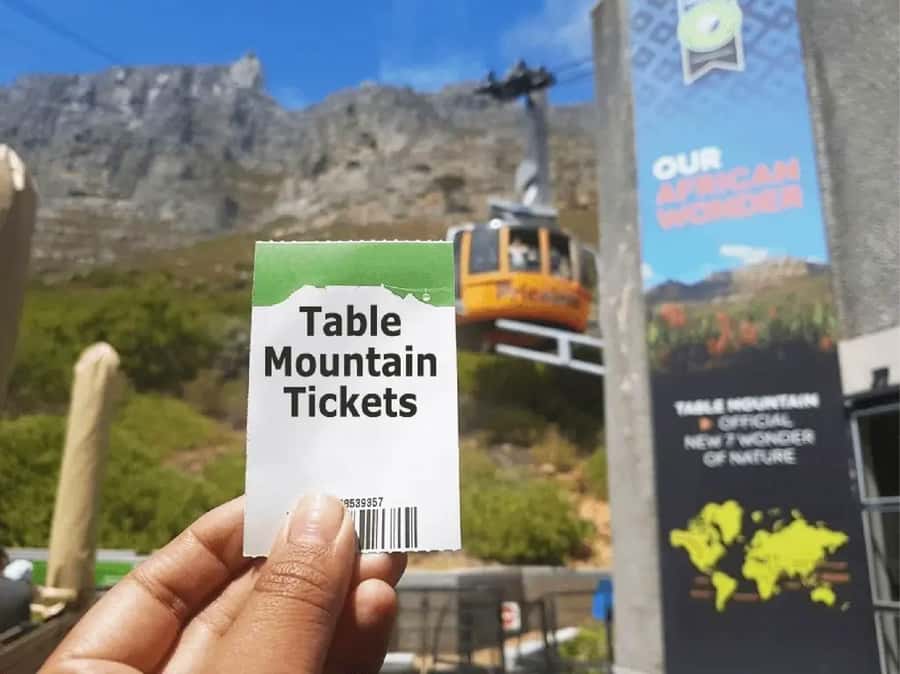 Table Mountain, Cape of Good Hope & Penguins Shared Tour - Who should book this Cape Town tour?