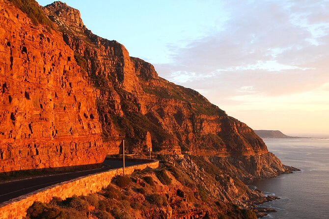 Table Mountain, Cape Point & Penguin Beach ENTRANCE INCLUDED - Cape of Good Hope and the edge of the peninsula
