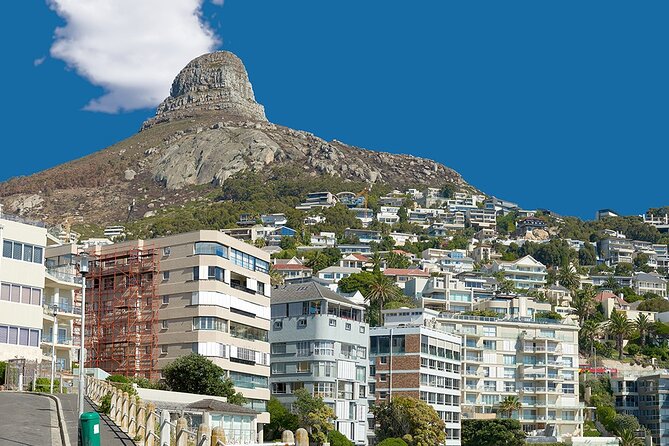 Table Mountain, Cape Point & Penguin Beach ENTRANCE INCLUDED - Fish Hoek makes lunch flexible
