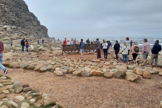 Table Mountain Cape Point Penguin Groot Constantia Private Tour - Starting in Cape Town between 7:00 and 7:30