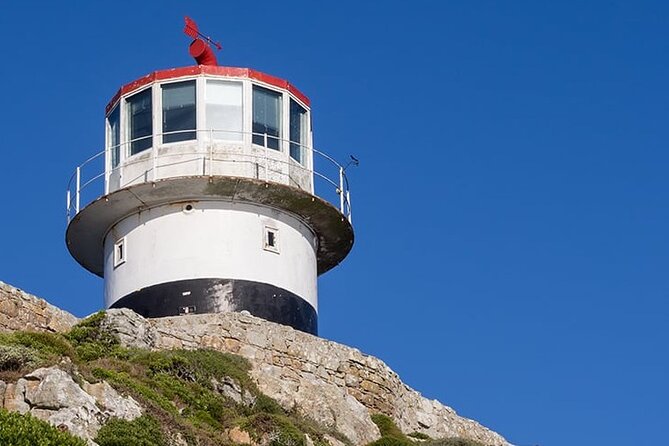 Table Mountain Cape Point Penguin Groot Constantia Private Tour - Cape of Good Hope and the two beacons