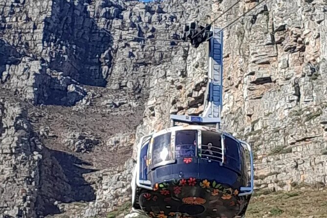 Table Mountain Cape Point Penguin Groot Constantia Private Tour - Cape Point, the old lighthouse, and two ways up