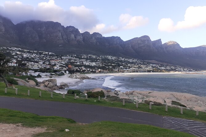 Table Mountain, Cape Point & Penguins Private ,From Cape Town - The southern peninsula feels less polished