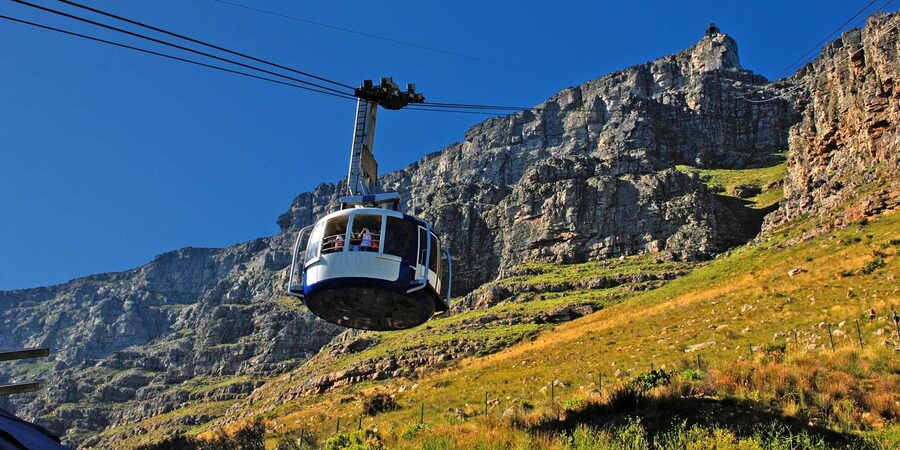 Table Mountain & Cape Town City Half Day Guided Tour - Company’s Garden: a quieter pause in the center