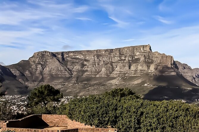 Table Mountain, Chapmans Peak Drive, Cape Point & Penguins - Why this private Cape Peninsula day works