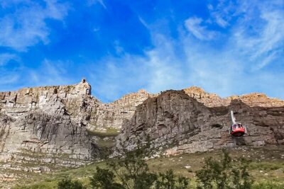 Table Mountain, Chapmans Peak Drive, Cape Point & Penguins