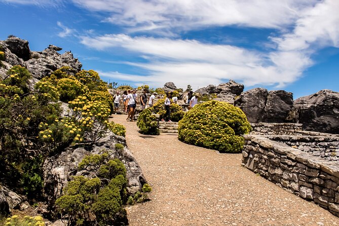 Table Mountain, Chapmans Peak Drive, Cape Point & Penguins - Boulders Beach and the African penguins