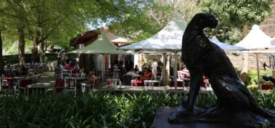 Table Mountain & Constantia Wine Estate Private Combo Tour