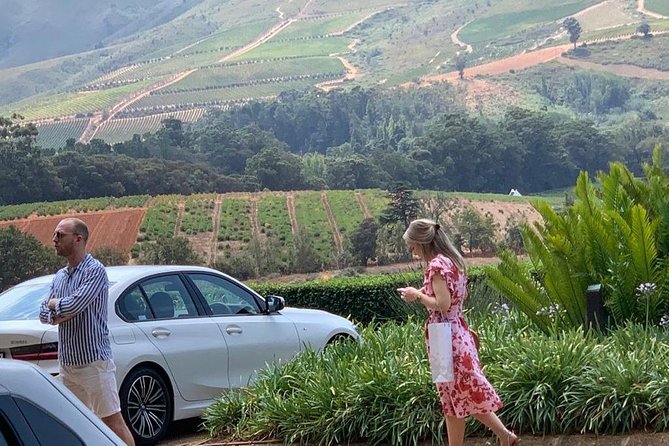 Table Mountain & Constantia Wine Tasting Full Day Tour. - Klein Constantia and the False Bay views