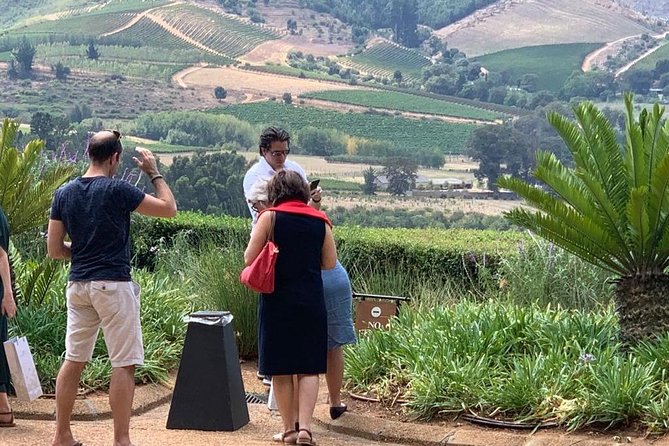 Table Mountain & Constantia Wine Tasting Full Day Tour. - Buitenverwachting, the final estate