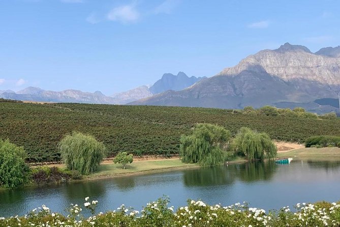 Table Mountain & Constantia Wine Tasting Full Day Tour. - Guide service and the small details that matter