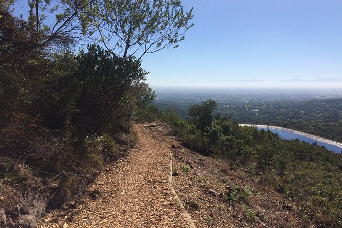 Table Mountain Cycling Experience - Bike rental and what you need to clarify