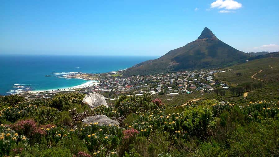 Table Mountain: Easy walk for the Whole Family - PRIVATE - Key points to know before you book