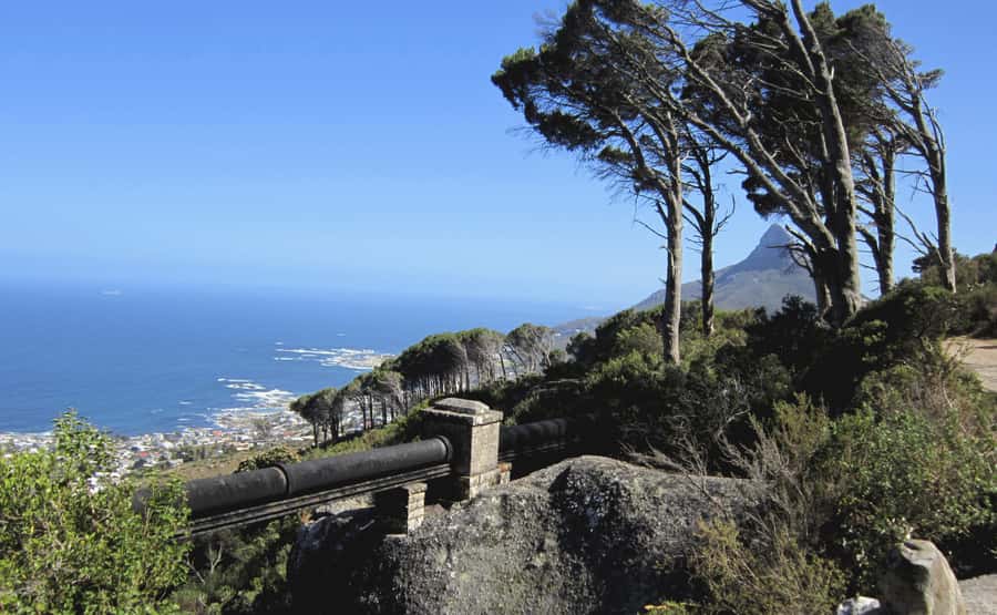 Table Mountain: Easy walk for the Whole Family - PRIVATE - What this Table Mountain walk really offers