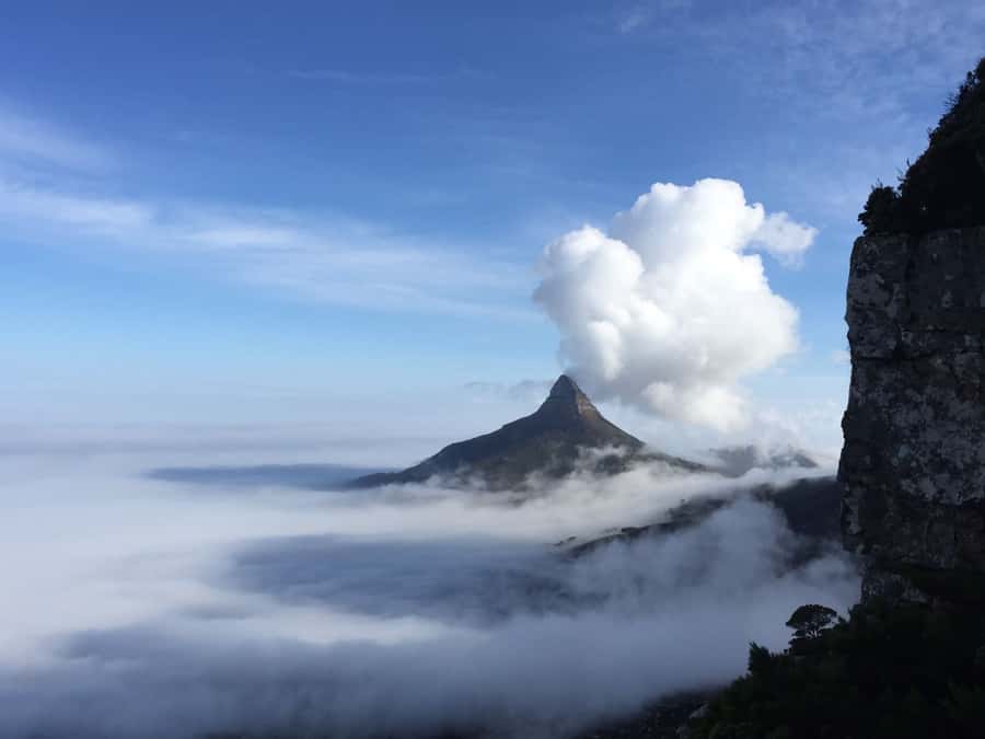 Table Mountain: Easy walk for the Whole Family - PRIVATE - Starting at Kloof Nek on the Pipe Track